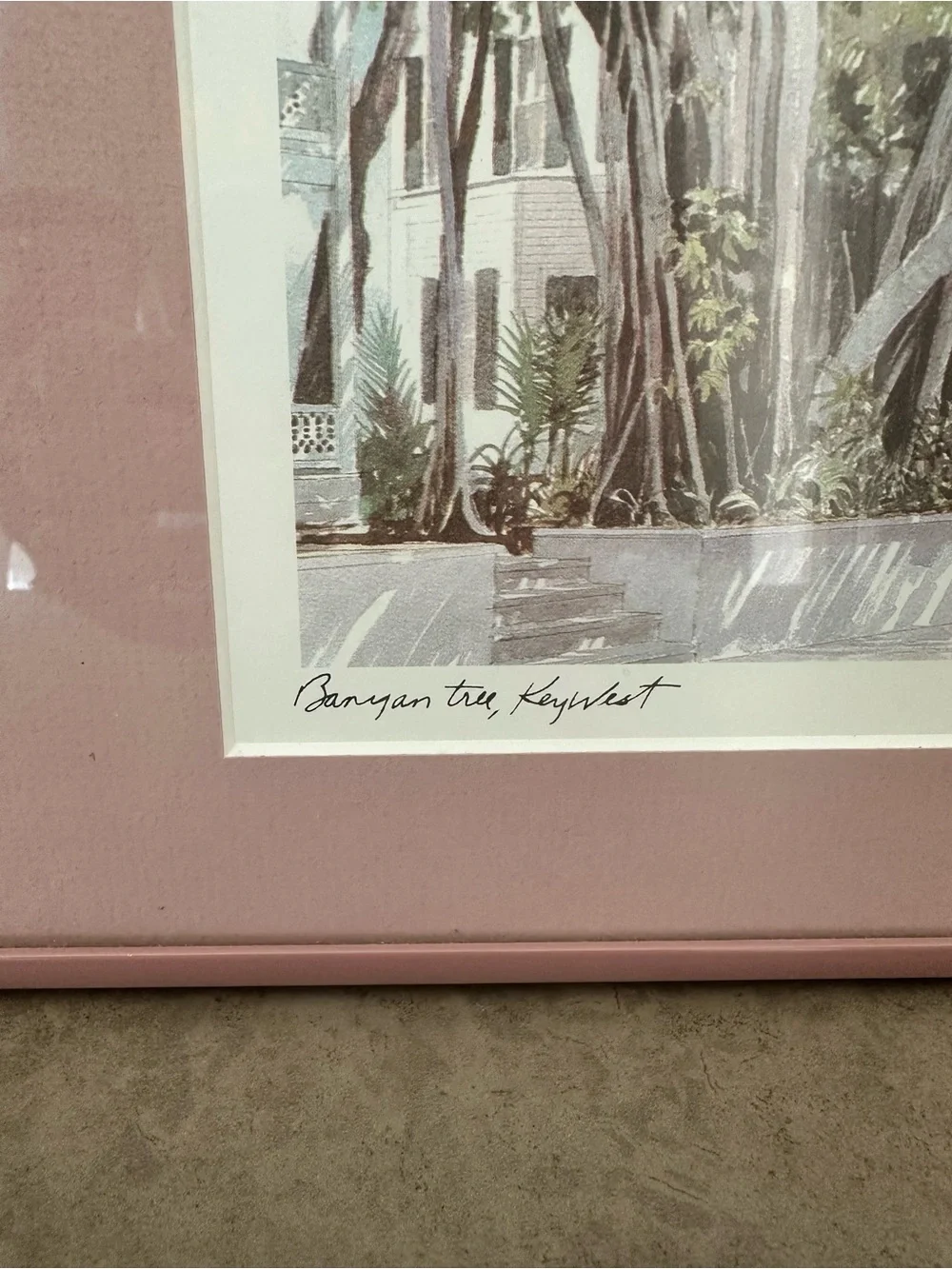 Pink Framed Mat Botanical Wall Art Robert E. Kennedy Iconic Banyan Tree Key West